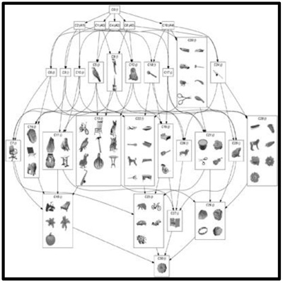 Understanding the semantic structure of the neural code with Formal Concept Analysis  