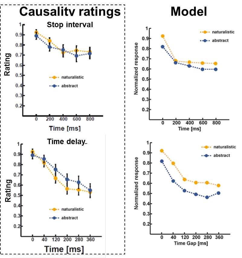 Causality perception