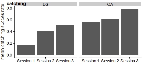 patients performance improvement